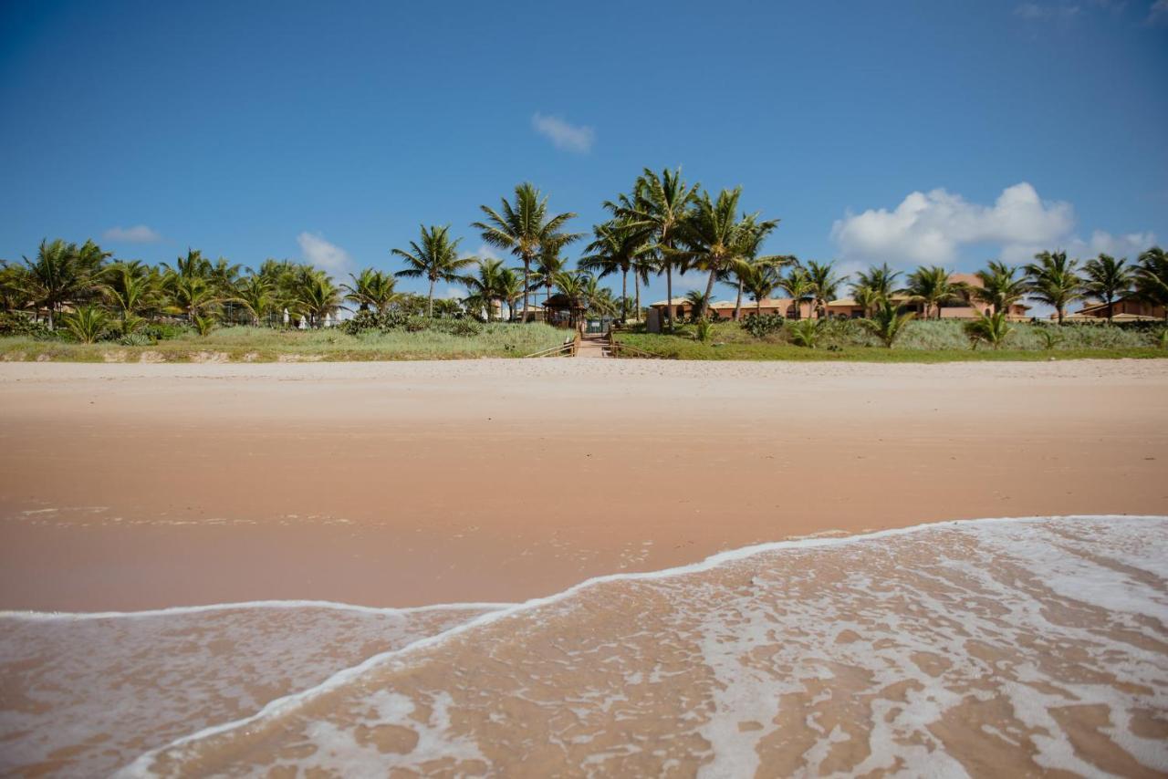 Flat Guarajuba Beira Da Praia Pe Na Areia Luaran gambar