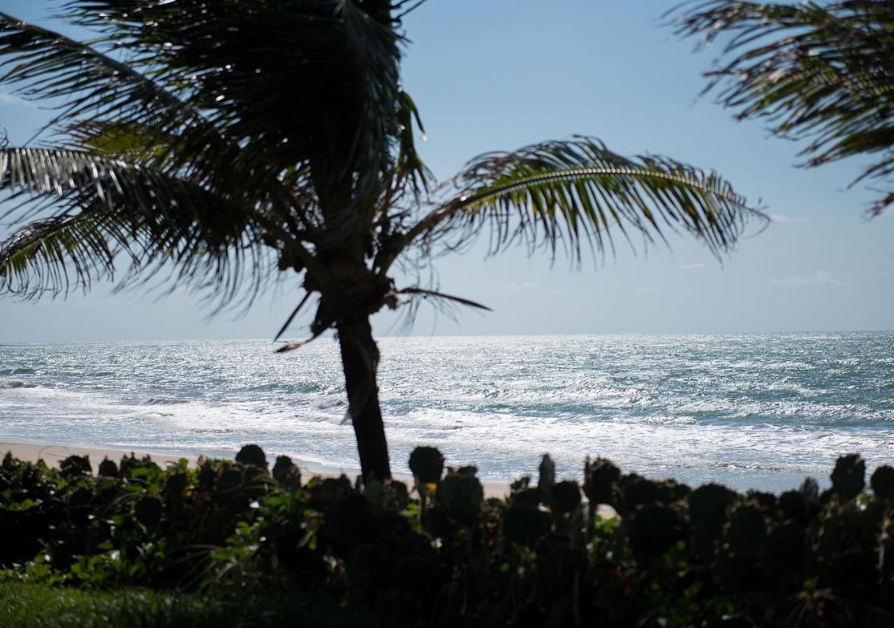 Flat Guarajuba Beira Da Praia Pe Na Areia Luaran gambar